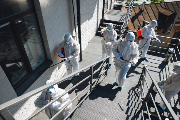 Best Comprehensive Air Testing for Mold Contaminants  in Home Garden, CA