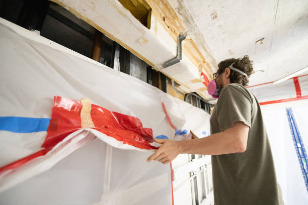 Best Black Mold Removal  in Home Garden, CA
