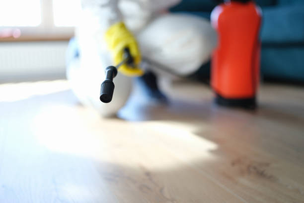 Best Post-Construction Mold Inspection  in Home Garden, CA