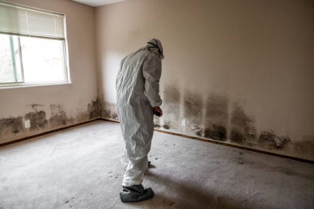 Best Mold Removal for HVAC Installations  in Home Garden, CA